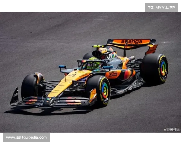 迈凯伦车队包揽车手车队双冠，红牛屈居年度亚军